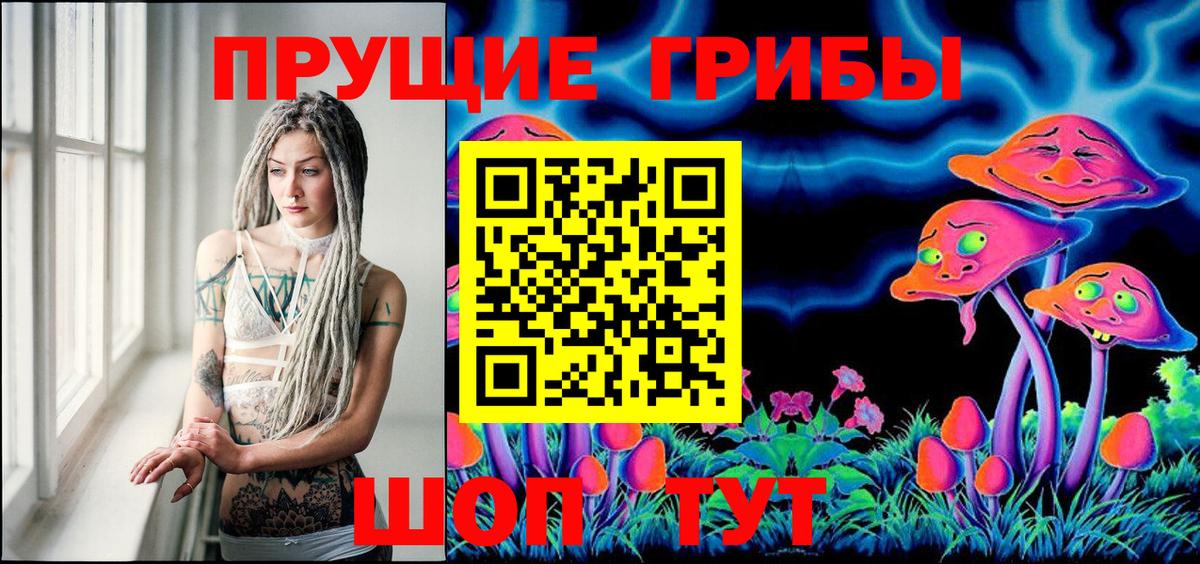 Псилоцибиновые грибы Psilocybine cubensis Благовещенск