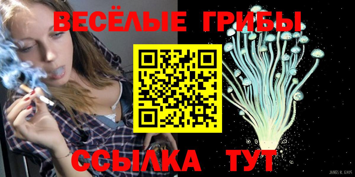 Псилоцибиновые грибы мухоморы  Вход с VPN  Благовещенск  Псилоцибиновые грибы мицелий 