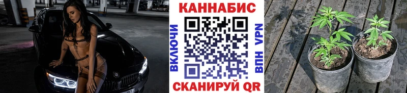 купить   Благовещенск  Бошки марихуана VHQ 